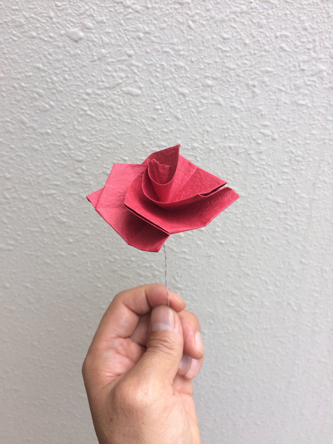Flowers behind the back of the universe